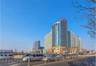 湖北中联履带吊引导轮