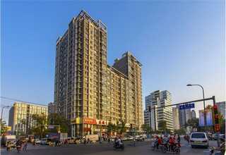 江苏众森牌板材阻燃板15厘多少钱一张